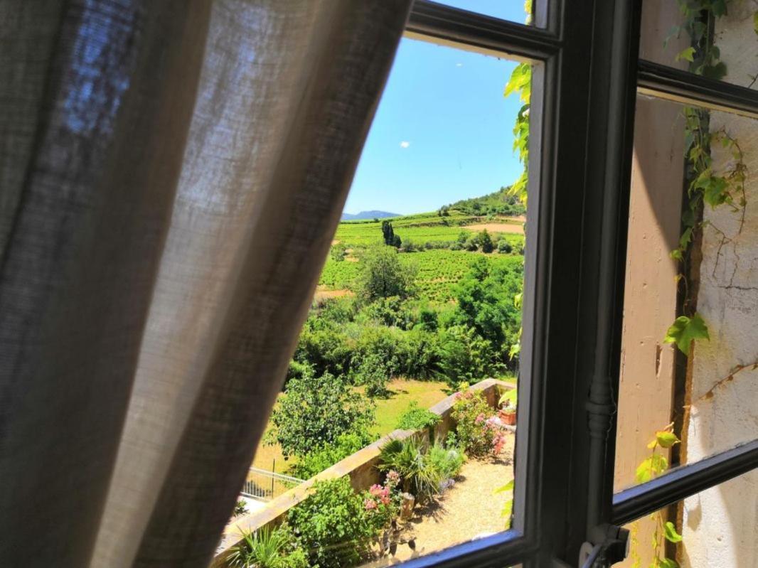 Chambre D'Hotes Au Domaine Du Soleil Couchant Saint-André-de-Roquelongue Cameră foto